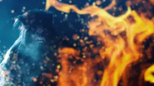 Задник к фильму "Охота" #333868