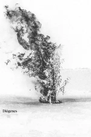 Постер к фильму "" #412804