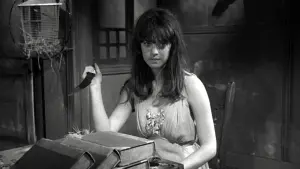 Задник к фильму "Ребенок паука" #462389