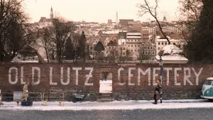 Задник к фильму "Отель «Гранд Будапешт»" #651454