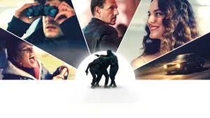 Задник к фильму "По правилам и без" #417636