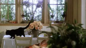 Задник к фильму "Практическая магия" #697215