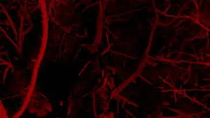 Задник к фильму "Пожиратель птиц" #664043