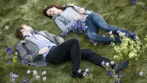 Задник к фильму "Сумерки. Сага: Новолуние" #309191