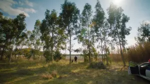 Задник к фильму "" #368657