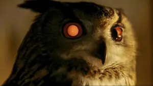 Задник к фильму "Бегущий по лезвию" #563479