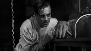 Задник к фильму "Франкенштейн" #641075