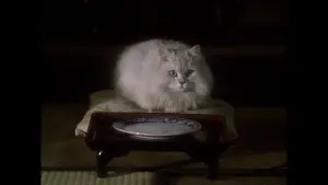 Задник к фильму "Дом" #221288