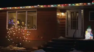 Задник к фильму "Тихая ночь, смертельная ночь" #509627