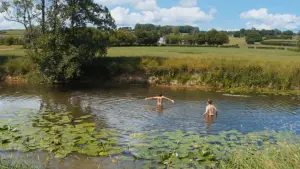 Задник к фильму "Un été à la ferme - L