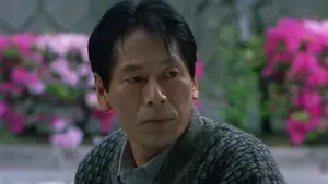 Задник к фильму "Фейерверк" #710958