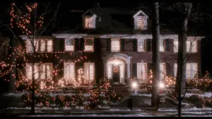 Задник к фильму "Один дома 2: Затерянный в Нью-Йорке" #567226