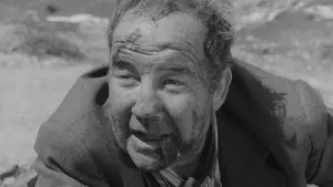 Задник к фильму "Мошенничество" #482703