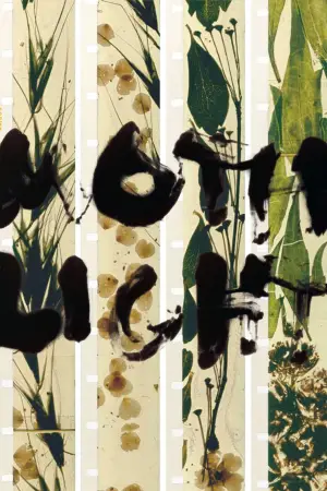 Постер к фильму "Mothlight"