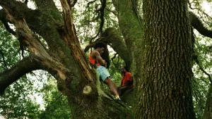 Задник к фильму "" #377424