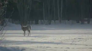 Задник к фильму "" #685448