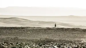 Задник к фильму "Тёмная башня" #165721