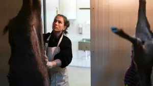 Задник к фильму "Тихий лес" #373111