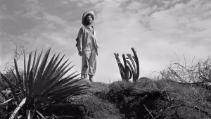 Задник к фильму "Сокровища Сьерра Мадре" #751651