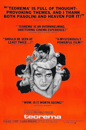 Постер к фильму "Теорема" #239906