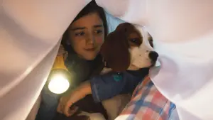 Задник к фильму "Собачья жизнь 2" #179259