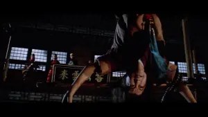 Задник к фильму "Боец с шестом" #456755