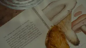 Задник к фильму "Призрачная нить" #671817