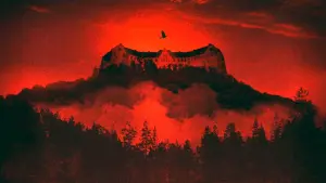 Задник к фильму "Темный лес 2" #486549