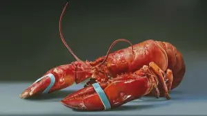 Задник к фильму "" #499122