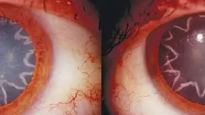 Задник к фильму "" #737715