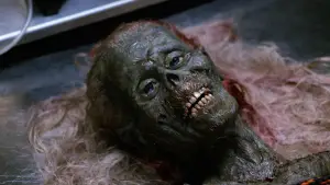 Задник к фильму "Возвращение живых мертвецов" #713136