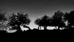 Задник к фильму "" #435216