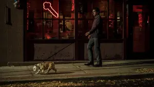 Задник к фильму "Патерсон" #239318