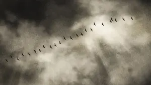 Задник к фильму "" #476418