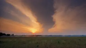 Задник к фильму "Сердце ангела" #741297