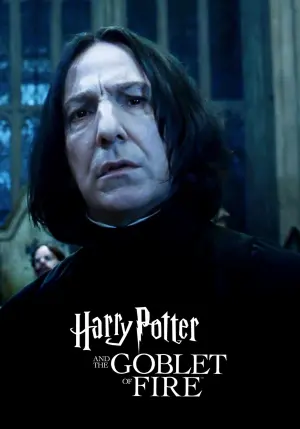 Постер к фильму "Гарри Поттер и кубок огня" #7801