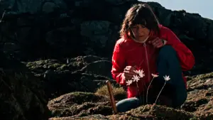 Задник к фильму "Каменный остров" #382760