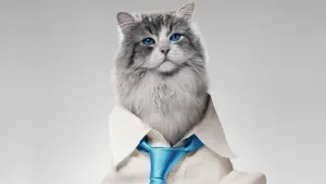 Задник к фильму "Девять жизней" #390569