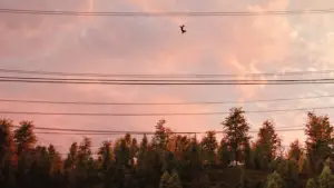 Задник к фильму "Человек-паук: Нет пути домой" #525383