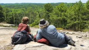 Задник к фильму "Прогулка по лесам" #305759