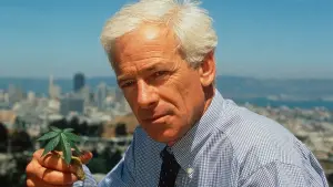 Задник к фильму "" #368012