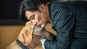 Задник к фильму "" #495345