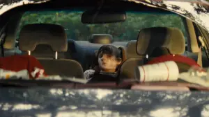 Задник к фильму "What Are Grandchildren Made Of?" #778336