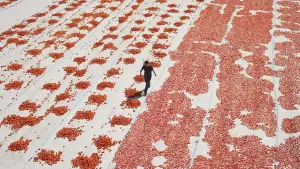 Задник к фильму "" #737160