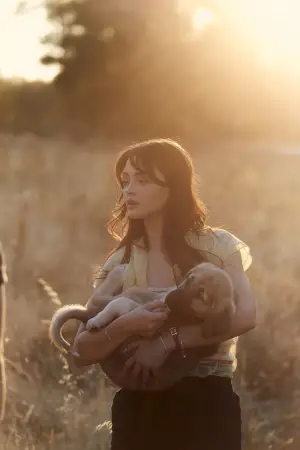 Постер к фильму "" #739363