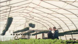 Задник к фильму "Полицейский в штатском" #523230