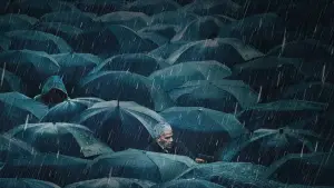 Задник к фильму "По следу тени" #587496