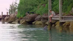 Задник к фильму "Мой друг дельфин Эхо" #501267