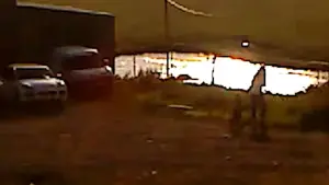 Задник к фильму "Сухой лист" #623396