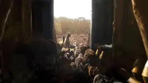 Задник к фильму "Ной" #321035